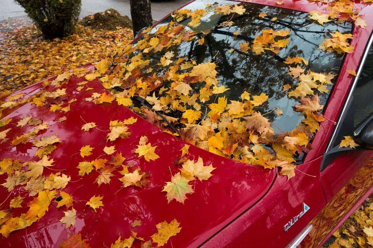 Auto von Laub bedeckt