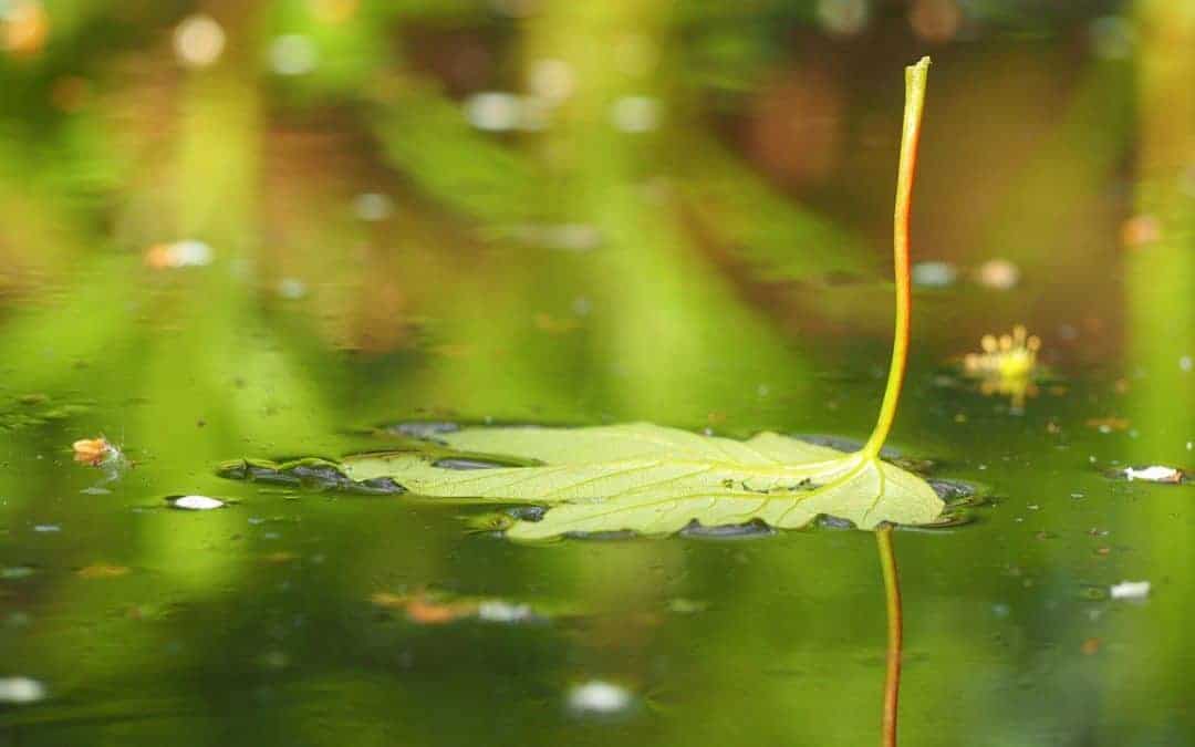 Wasseraufbereitung – Teil 3